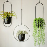 Metal Matte Finish Hanging Planter