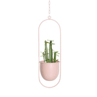 Metal Matte Finish Hanging Planter